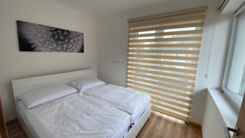 Apartmany - Male Lipno Černá v Pošumaví Exteriör bild