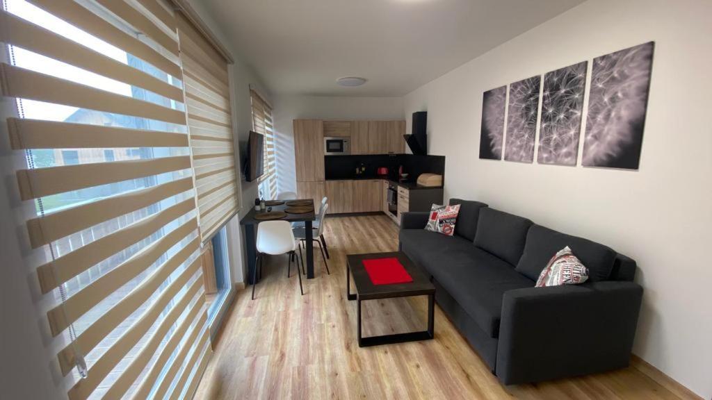 Apartmany - Male Lipno Černá v Pošumaví Exteriör bild