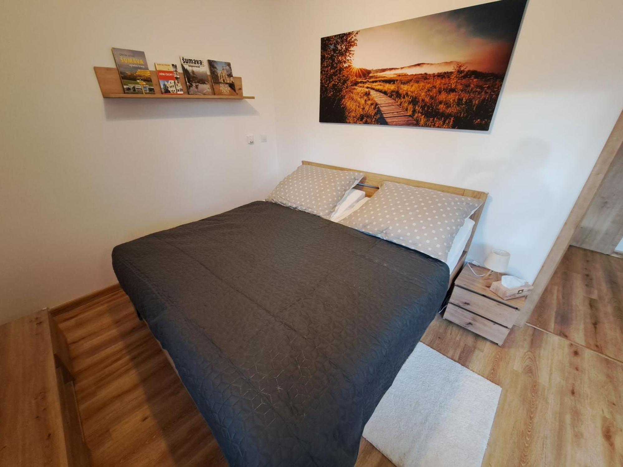 Apartmany - Male Lipno Černá v Pošumaví Rum bild