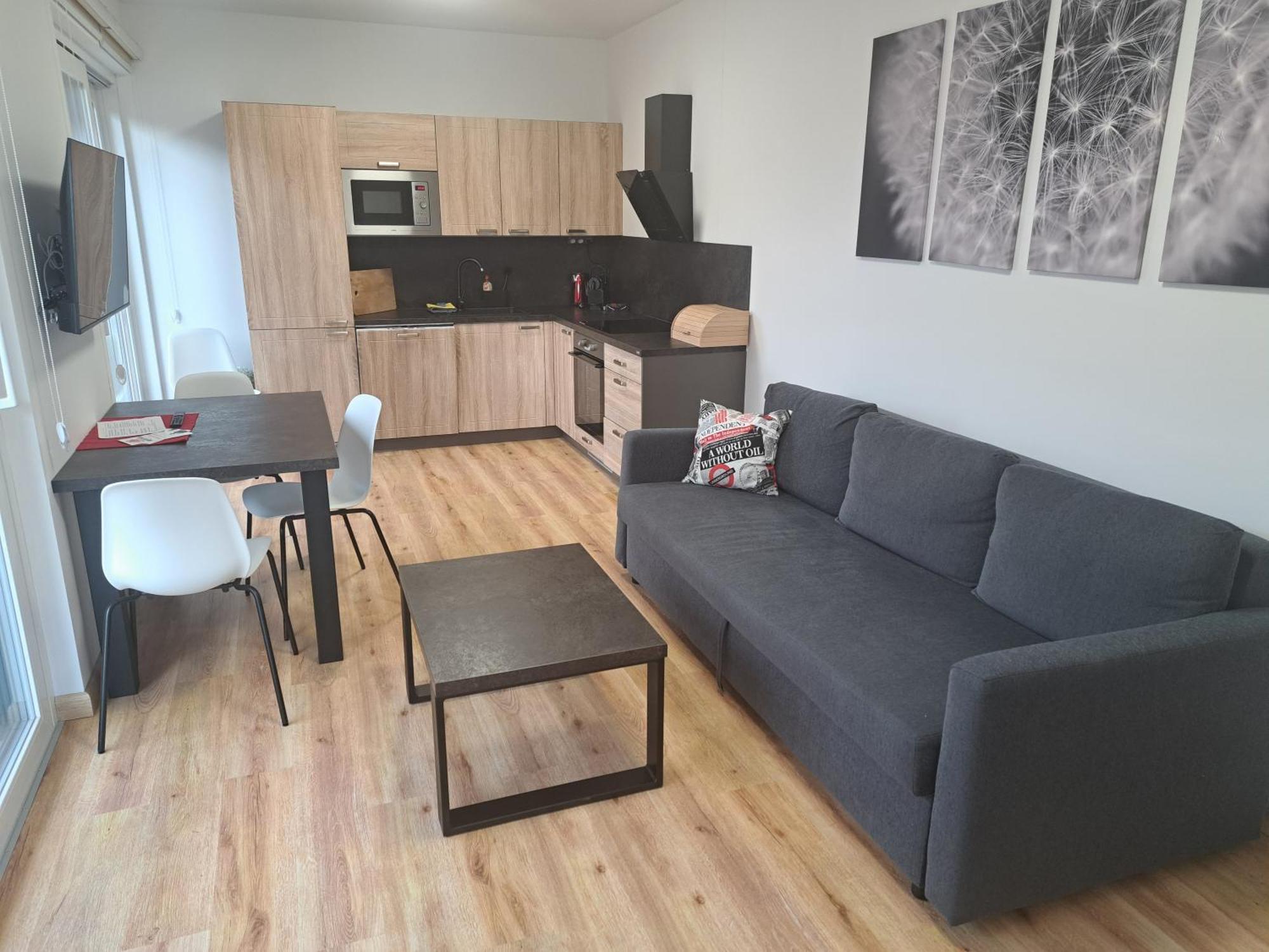 Apartmany - Male Lipno Černá v Pošumaví Rum bild